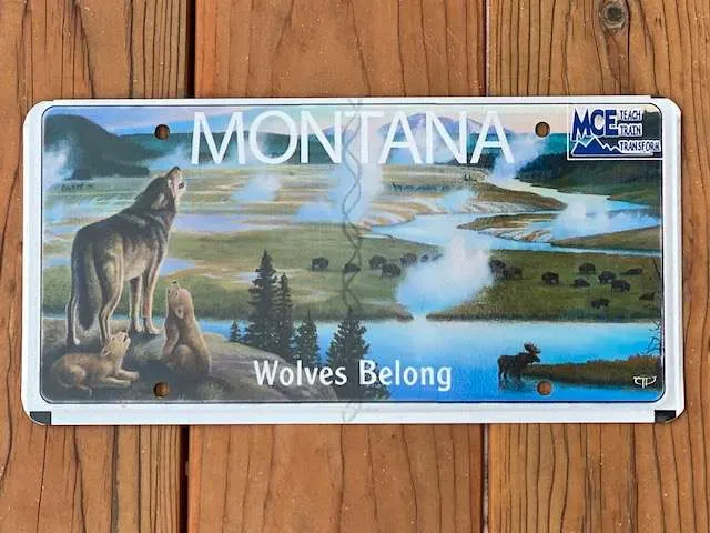 Wolves Belong License Plate